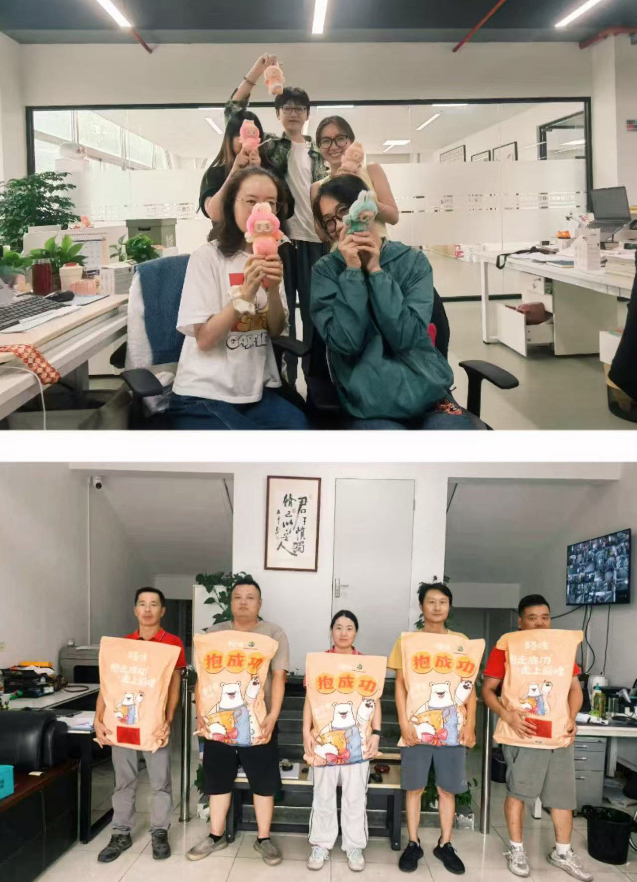 1769399801521192.jpg ff9af8fe4c78fdc3e33ceab19d30b654.jpg